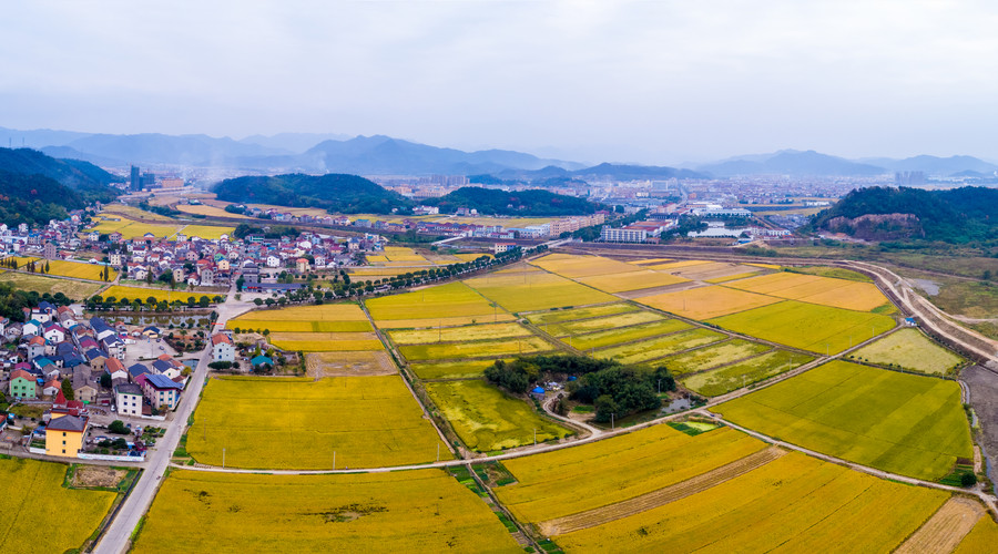 宅基地使用权证如何办理插图